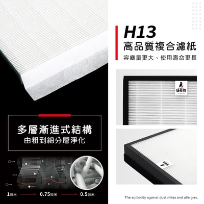 蟎著媽  濾網 適用 飛利浦 PHILIPS  DE5205 / DE5206 / DE5207 清淨除濕機7