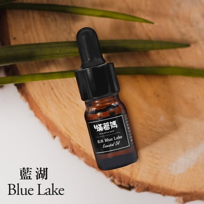 現貨 螨著媽 香氛 適車用 家用 擴香禮盒 香氛擴香石 擴香石精油 石膏香石 香薰精油12