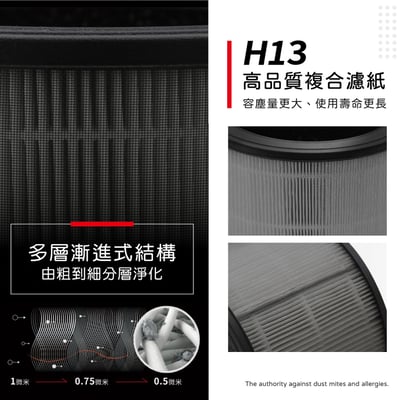 【蟎著媽】濾網 適用 韓國 Winix AAPU300 AAPU300-JVT 6-10坪 空氣清淨機5