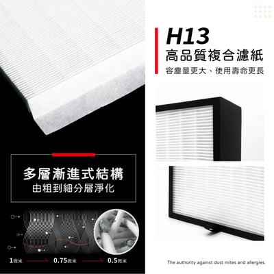 【蟎著媽】 濾網 濾心 適用 適用 BALMUDA 百慕達 The Pure A01D A01A-P100 空氣清淨機2