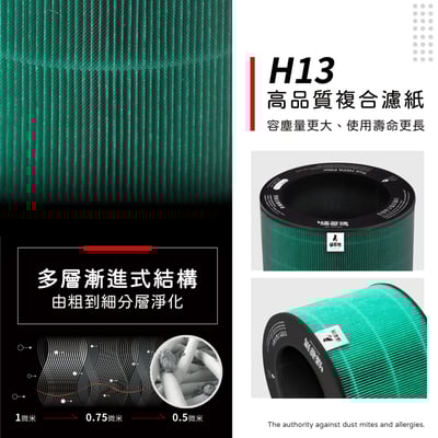 【蟎著媽】 濾網 適用 LG 樂金 超級大白  AS551 AS101 AS601 AS651 AS951 超級大白 空氣清淨機 AAFTDT101 濾網9