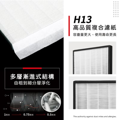 【蟎著媽】 濾網 適用 IRIS OHYAMA PMMS-DC110 PMMS-DC 空氣清淨機5