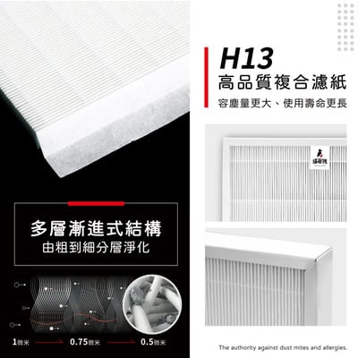 現貨 蟎著媽  濾網  適用 Winix 除濕機GO DO2U150-IWTO DN2160-IZT DN2U160-IST 空氣清淨機3