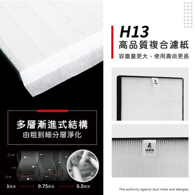 適用Hitachi 日立 RD-360HC RD-300HC RD-260HC RD-220HC 清淨除濕機 濾網 濾芯5