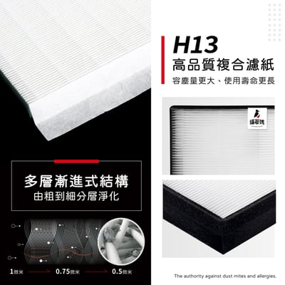 蟎著媽  濾網 適用 飛利浦 PHILIPS  DE5205 / DE5206 / DE5207 清淨除濕機5