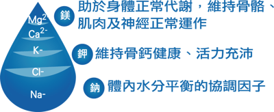 AminoMax 邁克仕 Electrolyte高效能電解質膠囊 20包/盒5