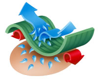 英國 SUB ZERO 短袖無縫防蚊排汗衣 四季款 男女皆宜6