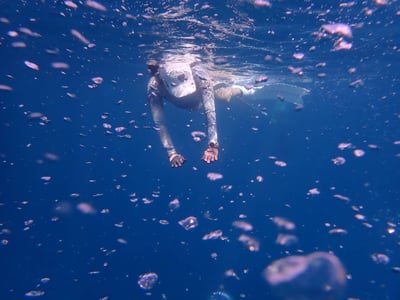 V.DIVE 威帶夫潛水衝浪防吹落鴨舌帽VH(衝浪 潛水 運動帽) 長版12