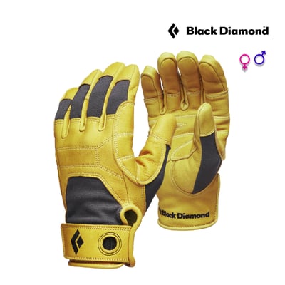 BLACK DIAMOND-TRANSITION GLOVES 羊皮攀岩手套/CE、EN認證/登山/工作/榮獲最佳戶外裝備獎1