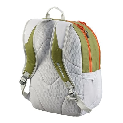 CARIBEE-RECOIL 30L  電腦背包/休閒/旅遊/登山/透氣5