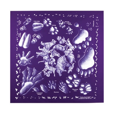 美國Printed Image四角頭巾-多種樣式可選 方巾 三角巾 露營旗 U.S.A5