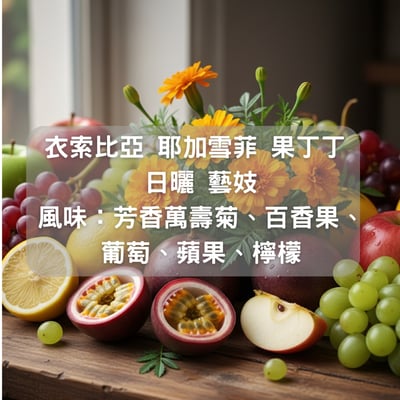 衣索比亞 耶加雪菲 果丁丁 日曬 天使 藝妓(半磅/濾掛式10包)1