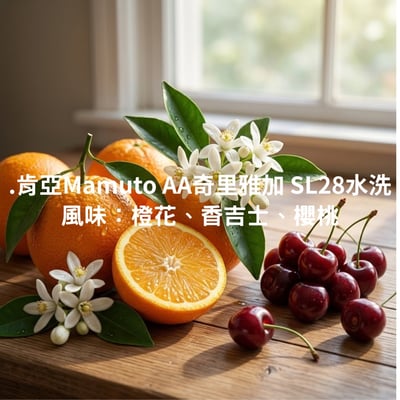 肯亞Mamuto AA奇里雅加 SL28水洗（半磅/濾掛式10包）1