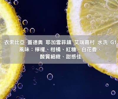 衣索比亞 水洗 耶珈雪啡 蓋德奧 艾瑞嘉村 (半磅/濾掛式10包)1