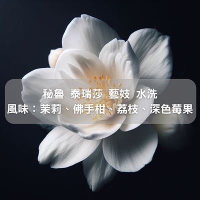 秘魯 泰瑞莎 水洗 藝妓(半磅/濾掛式10包)1