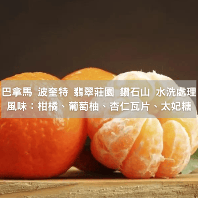 巴拿馬 巴魯火山 波奎特 翡翠莊園 鑽石山 水洗處理(半磅)2