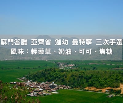 印尼 蘇門答臘 亞齊 迦幼曼特寧 三次手選 商業用戶購買用（1磅）1