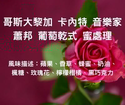 哥斯大黎加 葡萄乾式蜜處理 卡內特莊園-蕭邦（半磅/濾掛式10包）1