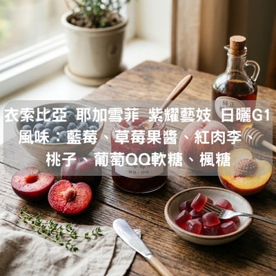 衣索比亞 耶加雪菲 紫耀藝妓 日曬 G1(半磅/濾掛式10包)1