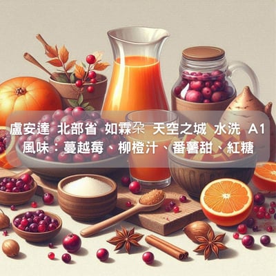 盧安達 北部省 如霖朶 天空之城 水洗 A1(半磅/濾掛式10包）1