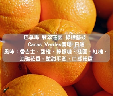 巴拿馬 翡翠莊園 綠標藝妓 Canas Verdes農場 日曬(半磅)2