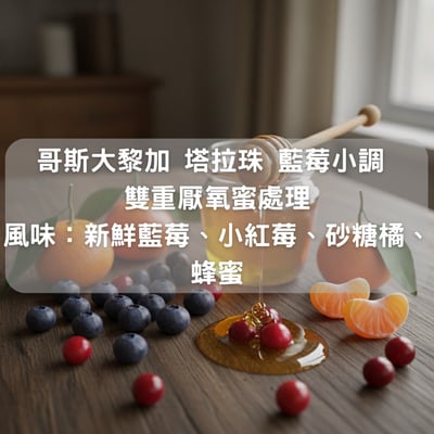 哥斯大黎加 塔拉珠 藍莓小調 雙重厭氧蜜處理(半磅/濾掛式10包）1