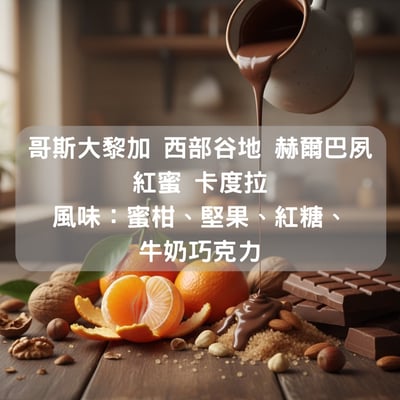 哥斯大黎加 西部谷地 赫爾巴夙 紅蜜 卡度拉(半磅/濾掛式10包）1