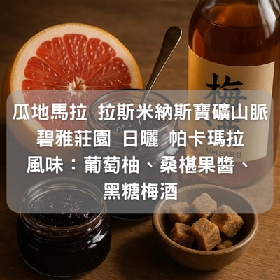 瓜地馬拉 拉斯米納斯寶礦山脈 碧雅莊園 日曬 帕卡瑪拉(半磅/濾掛式10包)1