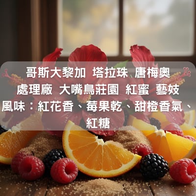 哥斯大黎加 塔拉珠 唐梅奧處理 廠 大嘴鳥莊園 紅蜜 藝妓(半磅/濾掛式10包）1