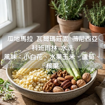 瓜地馬拉 瓦爾瑪莊園 薇尼西亞科班雨林 水洗（半磅/濾掛式10包）1