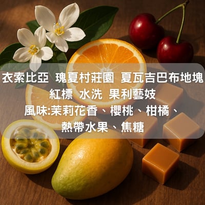 衣索比亞 瑰夏村莊園 果利瑰夏 夏瓦吉巴布 地塊 紅標批次 水洗藝妓(半磅/濾掛式10包)1