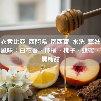 衣索比亞 西阿希 南西寶 水洗 藝妓(半磅/濾掛式10包)1