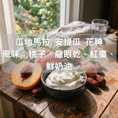 瓜地馬拉 安提瓜 水洗 花神（半磅/濾掛式10包）1