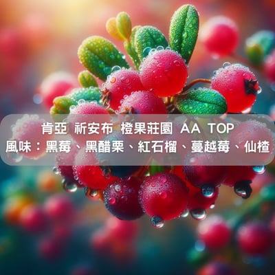 肯亞 祈安布 橙果莊園 AA TOP（半磅/濾掛式10包）1