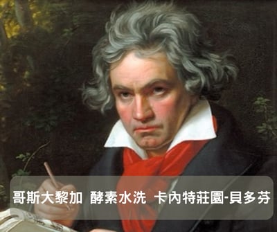 哥斯大黎加 酵素水洗 卡內特莊園-貝多芬（半磅/濾掛式10包)2