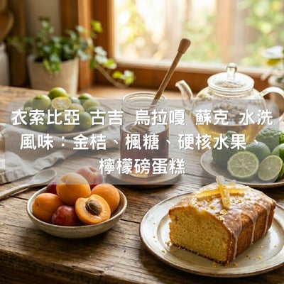 衣索比亞 古吉 烏拉嘎 蘇克 水洗(半磅/濾掛式10包)1