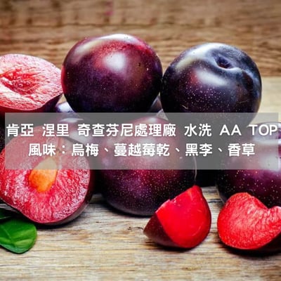 肯亞 涅里 奇查芬尼處理廠 水洗 AA TOP(半磅/濾掛式10包)2