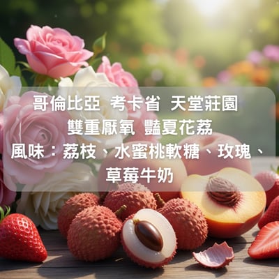 哥倫比亞 考卡省 天堂莊園 雙重厭氧 豔夏花荔(半磅/濾掛式10包）1