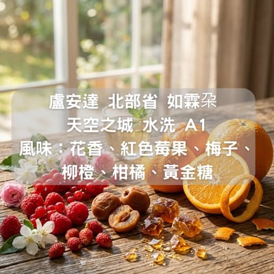 盧安達 北部省 如霖朶 天空之城 水洗 A1(半磅/濾掛式10包）1