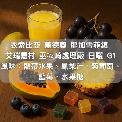 衣索比亞 蓋德奧 耶加雪菲鎮 艾瑞嘉村 巫坂崎處理廠 日曬 G1 (半磅/濾掛式10包)1