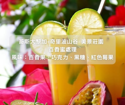 哥斯大黎加 布蘭卡 奇里波山谷 百香蜜處理 (半磅/濾掛式10包)1