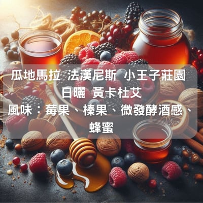 瓜地馬拉 法漢尼斯 小王子莊園 日曬 黃卡杜艾(半磅/濾掛式10包)1