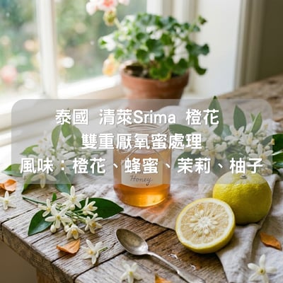 泰國 清萊Srima OB橙花 雙重厭氧蜜處理(半磅/濾掛式10包)1
