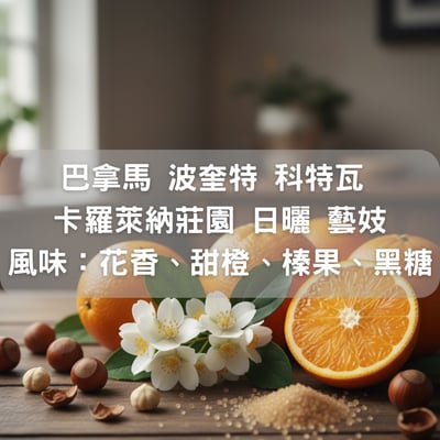 巴拿馬 波奎特 科特瓦 卡羅萊納莊園 日曬 藝妓(半磅)1