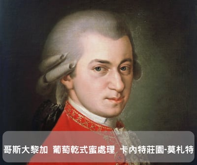 哥斯大黎加 葡萄乾式蜜處理 卡內特莊園-莫札特 （半磅/濾掛式10包）1