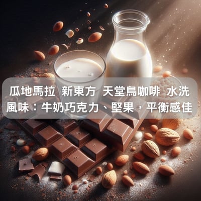 瓜地馬拉 新東方 天堂鳥咖啡 水洗(半磅/濾掛式10包)1