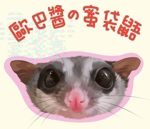 歐巴醬の蜜袋鼯