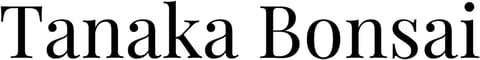 Tanaka Bonsai