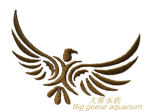 大雁水族 官方網站