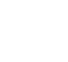 ZINIZ